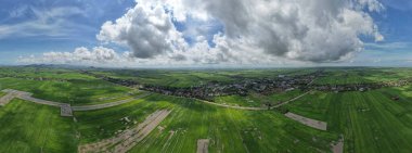 Kedah ve Perlis 'in Paddy Rice Tarlaları, Malezya