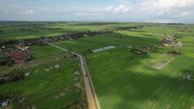 Kedah ve Perlis 'in Paddy Rice Tarlaları, Malezya
