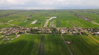 Kedah ve Perlis 'in Paddy Rice Tarlaları, Malezya