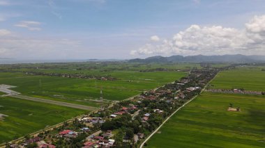 Kedah ve Perlis 'in Paddy Rice Tarlaları, Malezya