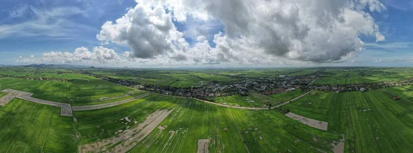 Paddy Rice Fields Kedah Perlis Малайзия — стоковое фото