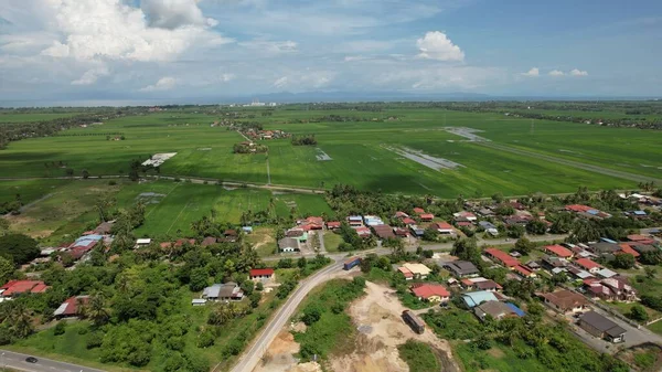 马来西亚Kedah和Perlis的稻田 — 图库照片