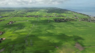 Kedah ve Perlis 'in Paddy Rice Tarlaları, Malezya