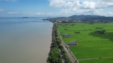 Kedah ve Perlis 'in Paddy Rice Tarlaları, Malezya