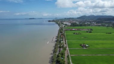 Kedah ve Perlis 'in Paddy Rice Tarlaları, Malezya