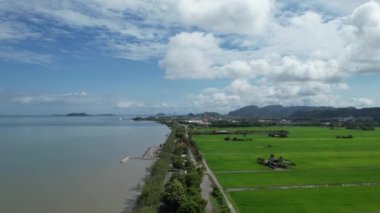 Kedah ve Perlis 'in Paddy Rice Tarlaları, Malezya