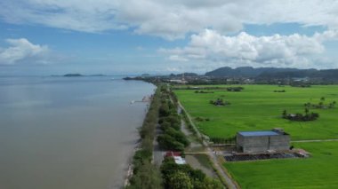 Kedah ve Perlis 'in Paddy Rice Tarlaları, Malezya