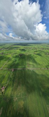 Kedah ve Perlis 'in Paddy Rice Tarlaları, Malezya