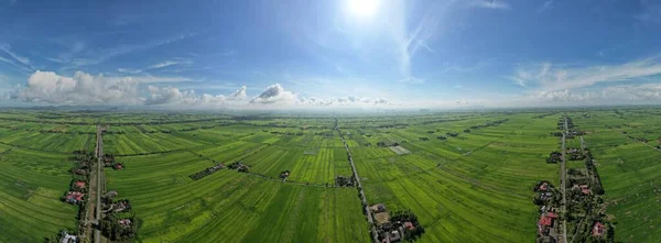 Pola Ryżowe Paddy Kedah Perlis Malezja — Zdjęcie stockowe