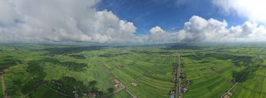 Kedah ve Perlis 'in Paddy Rice Tarlaları, Malezya