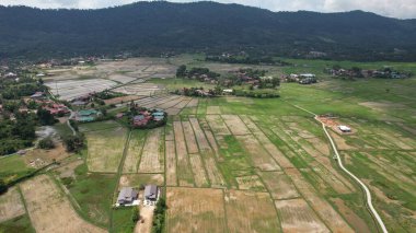Langkawi 'nin Eşsiz Dalga Kırıcısı
