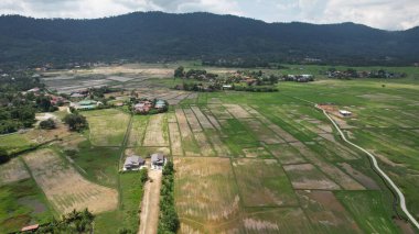 Langkawi 'nin Eşsiz Dalga Kırıcısı