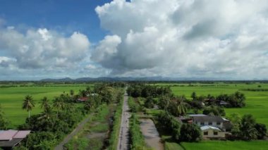 Kedah ve Perlis 'in Paddy Rice Tarlaları, Malezya