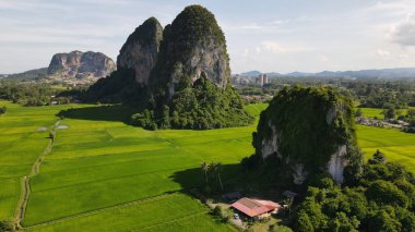 Kireçtaşı Keteri Tepesi ve Çeltik Tarlaları