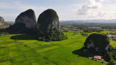 Kireçtaşı Keteri Tepesi ve Çeltik Tarlaları