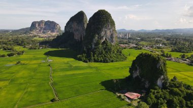 Kireçtaşı Keteri Tepesi ve Çeltik Tarlaları