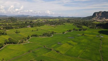 Kireçtaşı Keteri Tepesi ve Çeltik Tarlaları