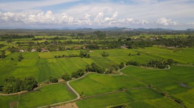 Kireçtaşı Keteri Tepesi ve Çeltik Tarlaları