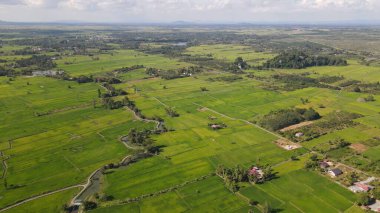 Kireçtaşı Keteri Tepesi ve Çeltik Tarlaları