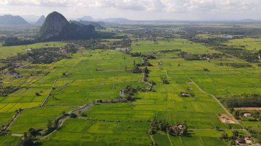 Kireçtaşı Keteri Tepesi ve Çeltik Tarlaları