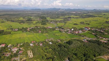 Kireçtaşı Keteri Tepesi ve Çeltik Tarlaları
