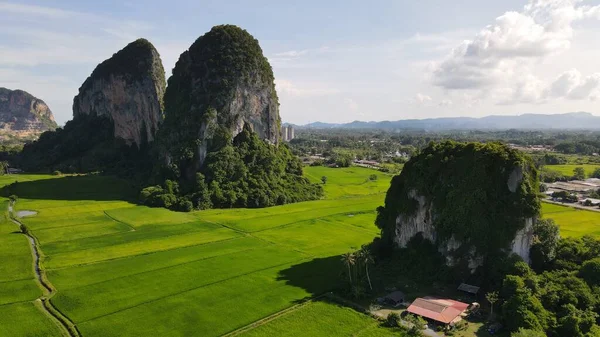 Kireçtaşı Keteri Tepesi ve Çeltik Tarlaları