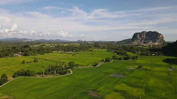 Kireçtaşı Keteri Tepesi ve Çeltik Tarlaları