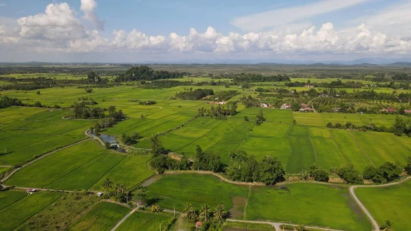 Kireçtaşı Keteri Tepesi ve Çeltik Tarlaları