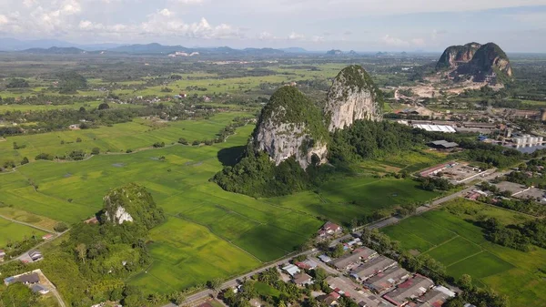 Limestone Keteri Hill Surrounding Rice Paddy Fields — 스톡 사진