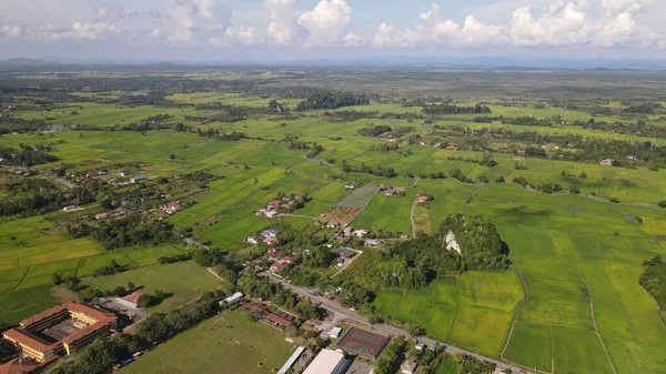 Kireçtaşı Keteri Tepesi ve Çeltik Tarlaları