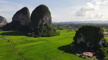 Kireçtaşı Keteri Tepesi ve Çeltik Tarlaları
