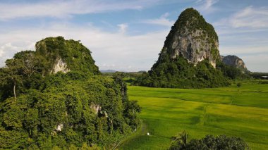 Kireçtaşı Keteri Tepesi ve Çeltik Tarlaları