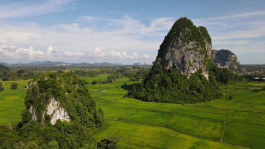 Kireçtaşı Keteri Tepesi ve Çeltik Tarlaları
