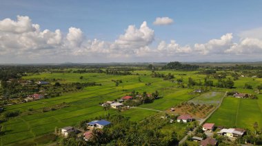 Kireçtaşı Keteri Tepesi ve Çeltik Tarlaları