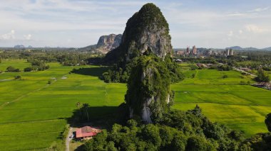 Kireçtaşı Keteri Tepesi ve Çeltik Tarlaları