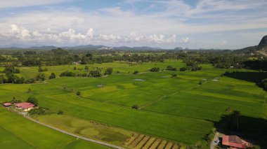 Kireçtaşı Keteri Tepesi ve Çeltik Tarlaları