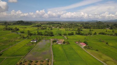 Kireçtaşı Keteri Tepesi ve Çeltik Tarlaları