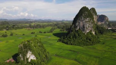 Kireçtaşı Keteri Tepesi ve Çeltik Tarlaları