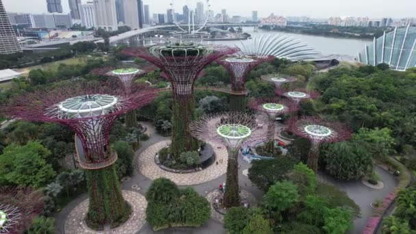 Marina Bay Singapore July 2022 Landmark Buildings Tourist Attractions Singapore — Stok video