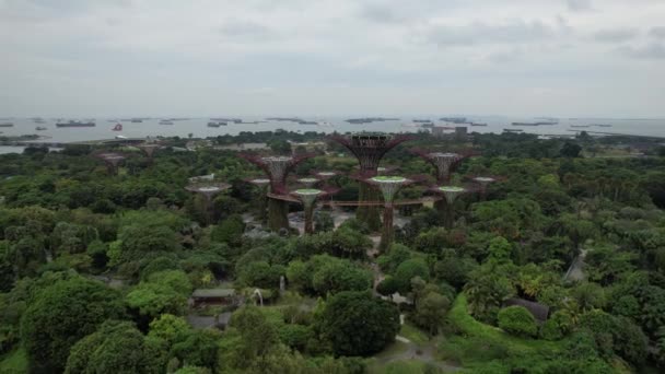 Marina Bay Singapore July 2022 Landmark Buildings Tourist Attractions Singapore — стоковое видео