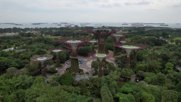 Marina Bay Singapore July 2022 Landmark Buildings Tourist Attractions Singapore — 图库视频影像