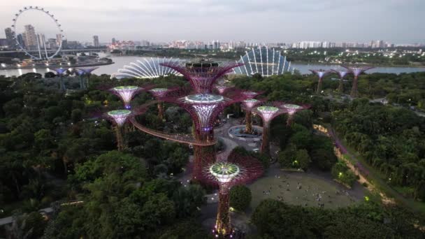 Marina Bay Singapore July 2022 Landmark Buildings Tourist Attractions Singapore — Video Stock