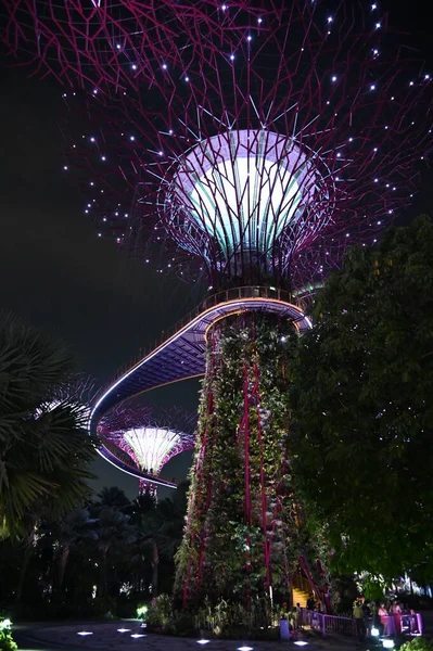 Marina Bay Singapore July 2022 Landmark Buildings Tourist Attractions Singapore —  Fotos de Stock