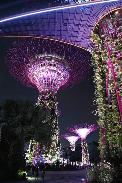 Marina Bay Singapore July 2022 Landmark Buildings Tourist Attractions Singapore — Fotografia de Stock