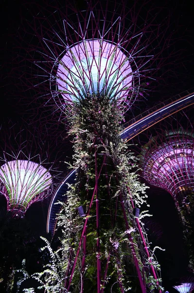 Marina Bay Singapore July 2022 Landmark Buildings Tourist Attractions Singapore — Photo