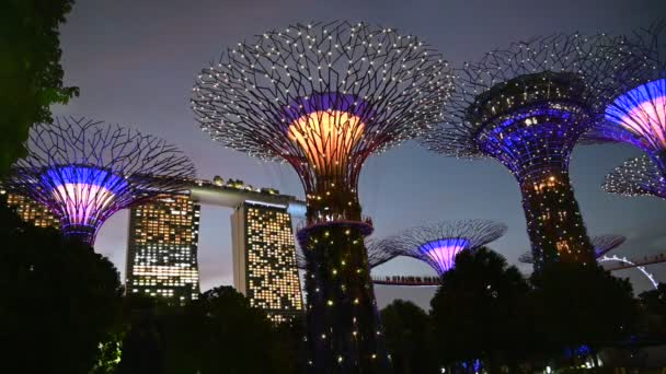 Marina Bay Singapore July 2022 Landmark Buildings Tourist Attractions Singapore — Stock video