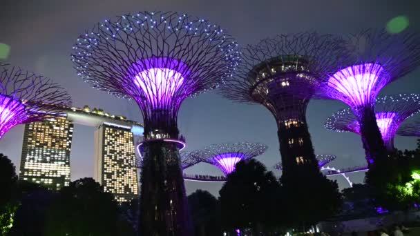 Marina Bay Singapore July 2022 Landmark Buildings Tourist Attractions Singapore — Stockvideo