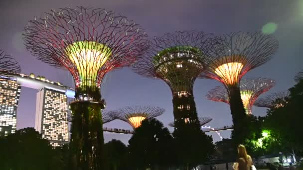 Marina Bay Singapur Juli 2022 Die Wahrzeichen Und Touristenattraktionen Singapurs — Stockvideo