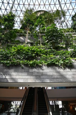 Changi, Singapur - 13 Temmuz 2022: Changi Havalimanı Modern Peyzajları