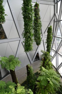 Changi, Singapur - 13 Temmuz 2022: Changi Havalimanı Modern Peyzajları